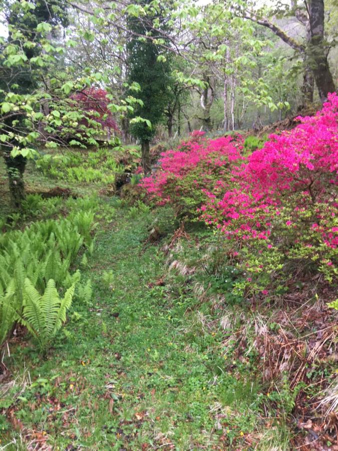 Invercreran Lodge Luxury Bed & Breakfast Appin Luaran gambar